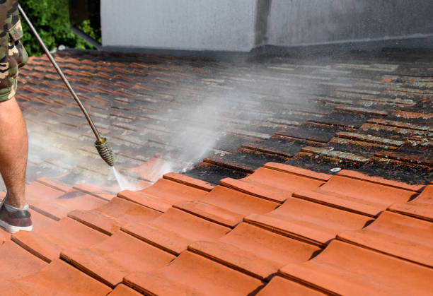 Best House Pressure Washing  in South Greensburg, PA